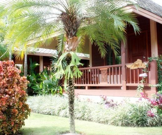 Pai Herbs Resort Rum bild