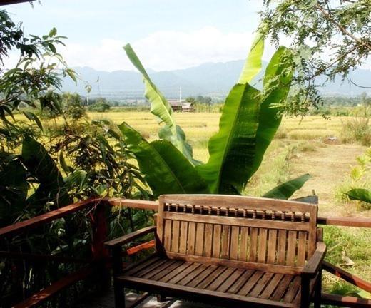 Pai Herbs Resort Rum bild